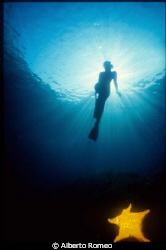 " Backlight Marmaid  with yellow fishstar ". 
Nikonos 15... by Alberto Romeo 